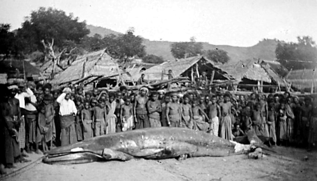 Lamaholot people in the whaling village of Lamakera